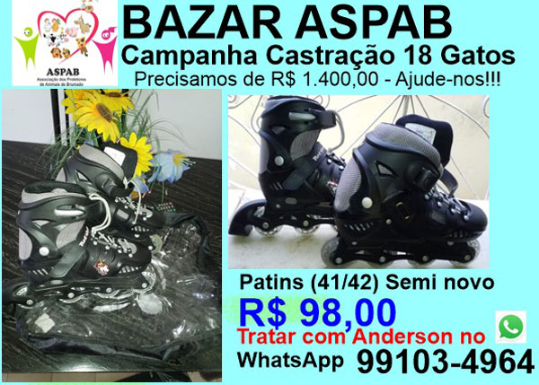 Brumado: participe do bazar da (Aspab) e ajude na castração de gatos 