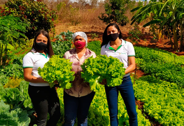 Serviço de assistência técnica promove desenvolvimento para agricultoras familiares de Ibiassucê
