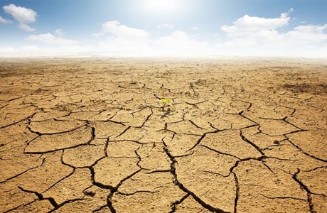 SUDOESTE: CIDADES EM EMERGÊNCIA POR CAUSA DA SECA