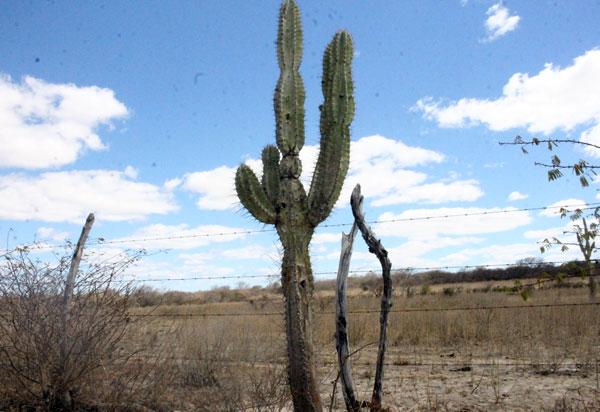 Monitor de Secas aponta menor gravidade da seca na Bahia desde julho de 2014