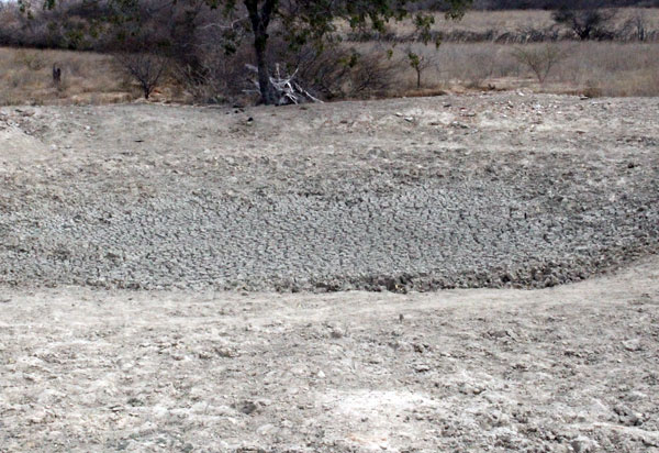 Brumado: prefeitura decreta situação de emergência devido a estiagem 