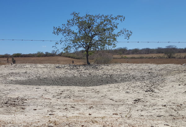 Brumado tem situação de emergência por estiagem reconhecida pela União 