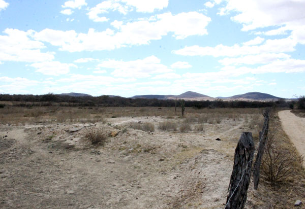 Brumado: Prefeitura declara situação de emergência nas áreas do município afetadas por estiagem