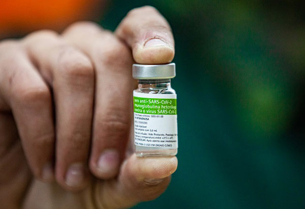 Instituto Butantan inicia ensaios clínicos do soro anti-Covid