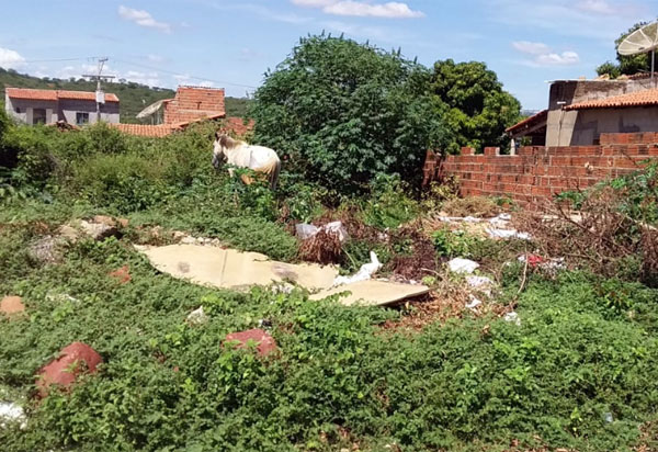 Brumado: Mato, lixo e entulho em terreno baldio causa transtornos a moradores do bairro Malhada Branca