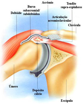 FISIOTERAPIA TITO ALMEIDA, ATENDIMENTO ESPECIALIZADO
