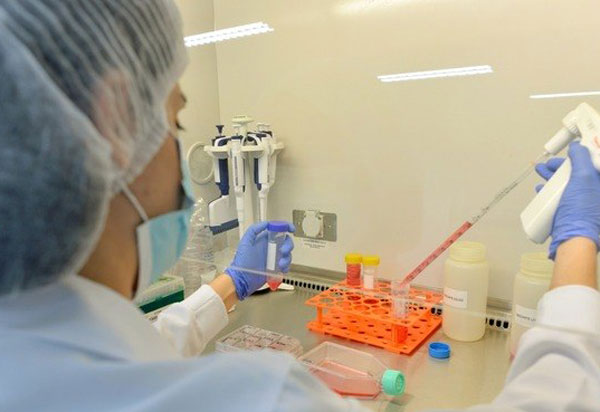 Vacina brasileira contra Covid-19 começa a ser testada em humanos