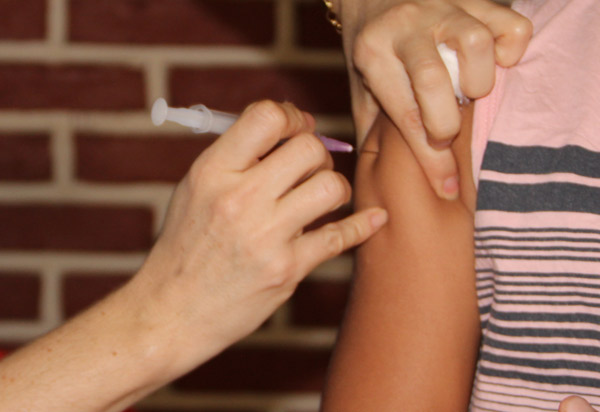 Ministério pede imunização contra febre amarela antes do verão