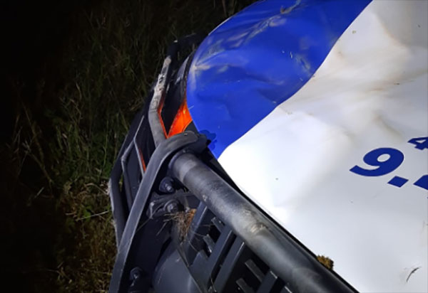 Livramento: Viatura da PM colide com animais na BA-152