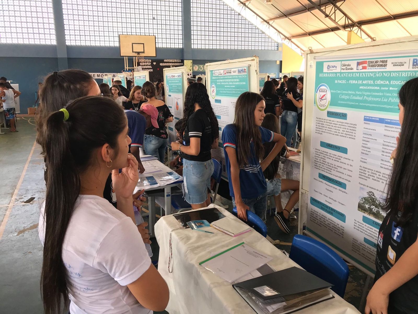 Estudantes de Ibitira criam herbário para catalogar plantas em risco de extinção na região