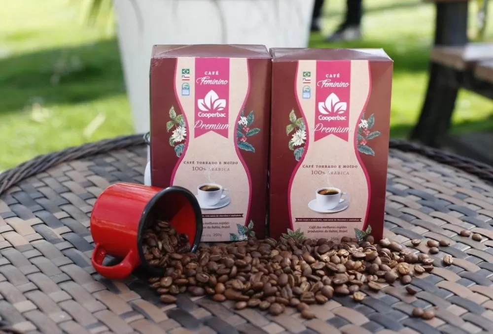 Café Feminino homenageia agricultoras do Sudoeste Baiano