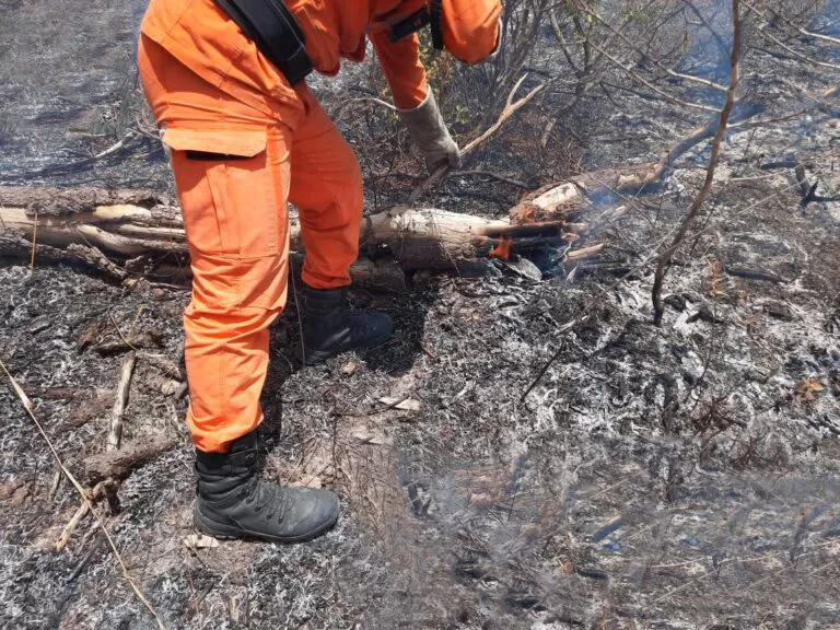 Bombeiros atuam de forma intensiva no combate aos incêndios florestais
