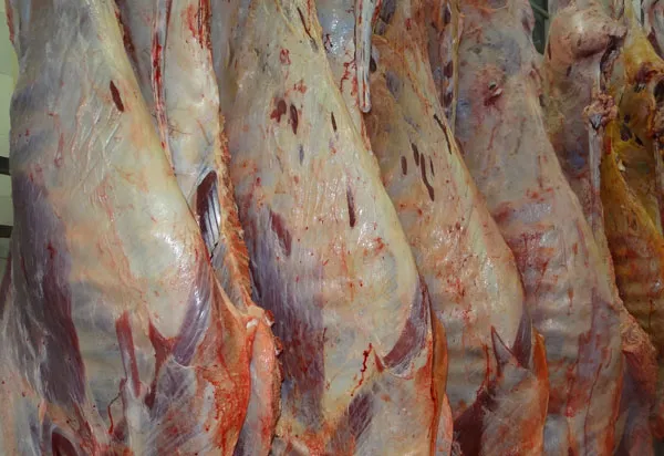 Brasil assume liderança mundial na produção de carne bovina em 2025