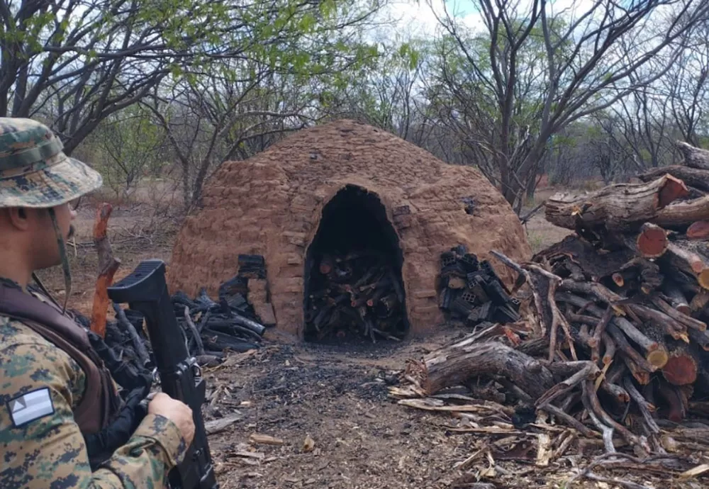 Operação conjunta entre PM e INEMA combate produção ilegal de carvão em Riacho de Santana