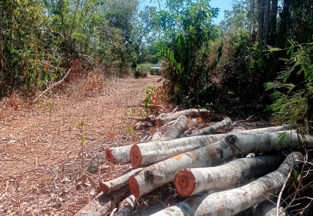 PM prende suspeito de desmatamento em Morro do Chapéu