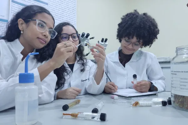 Estudo da Uesb aponta alto índice de escorpionismo no município de Jequié