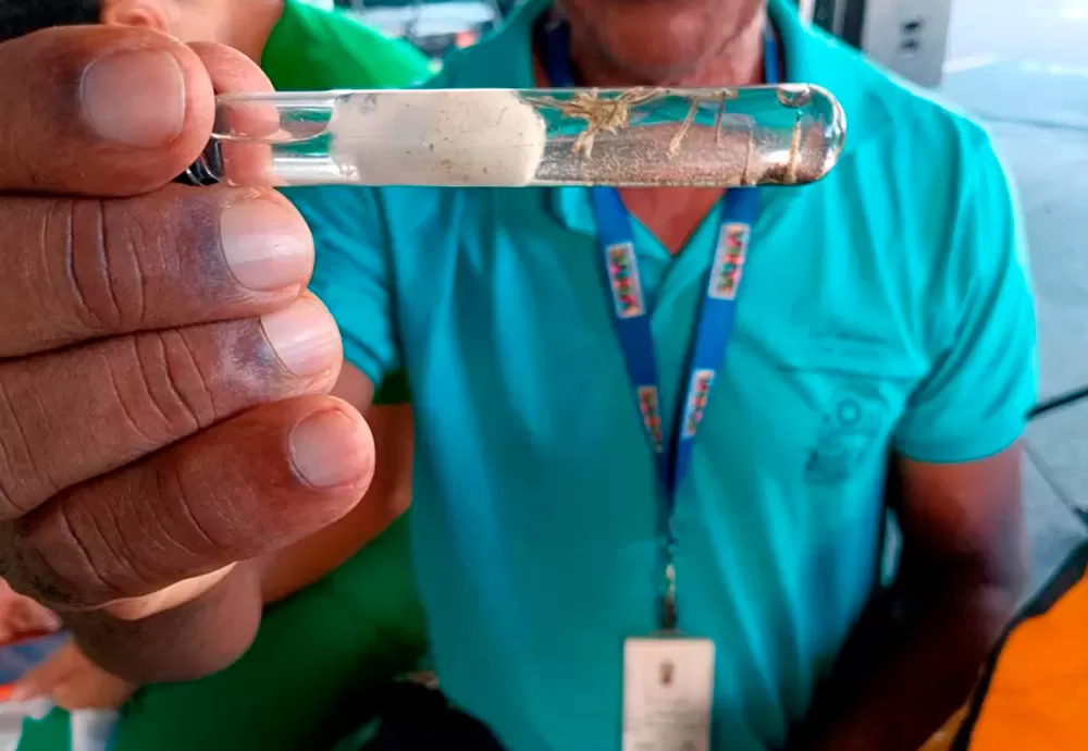 Brasil tem mais de 6,5 milhões de casos prováveis de dengue este ano