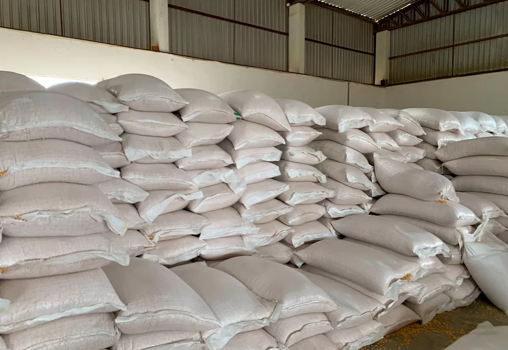 Municípios do Sudoeste recebem milho para assegurar alimentação para rebanhos de agricultores familiares
