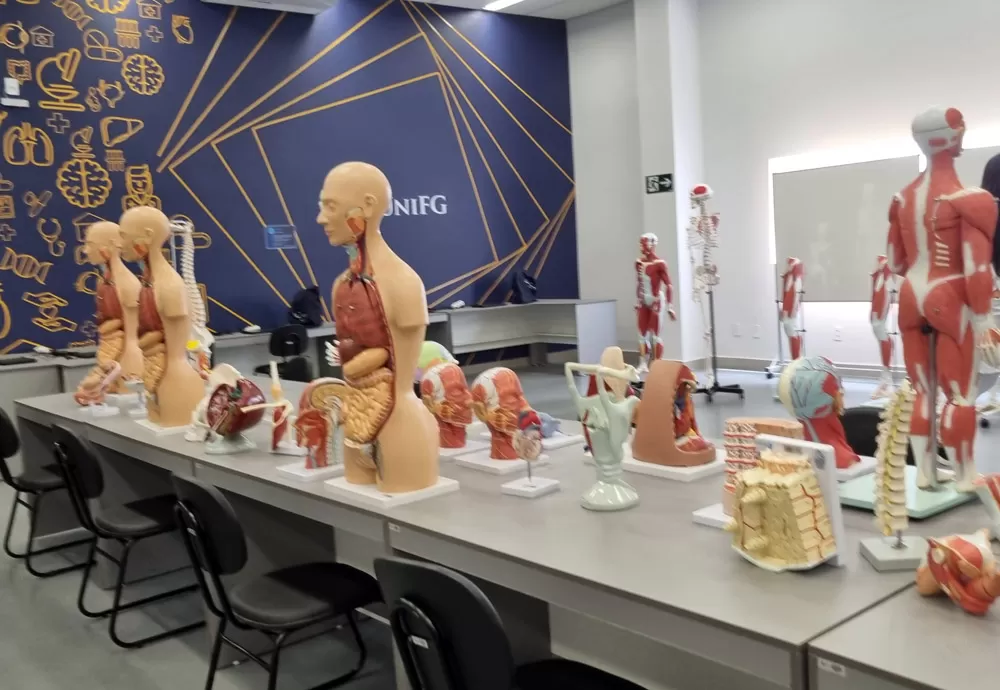 Curso de Medicina em Brumado abre seleção para bolsas de estudo integrais 