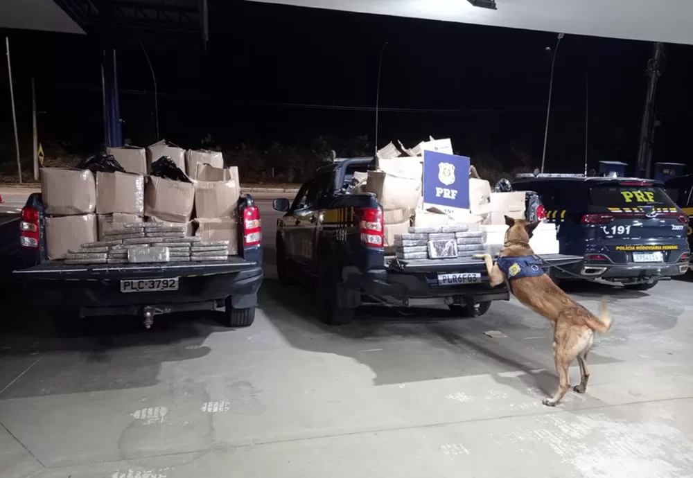 Operação conjunta da PF e PRF resulta na apreensão de quase 1 tonelada de drogas em Vitória da Conquista