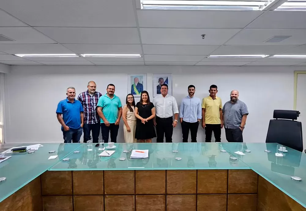 Deputado Marquinho Viana junto a prefeitos em audiência com Secretária da Educação do Estado