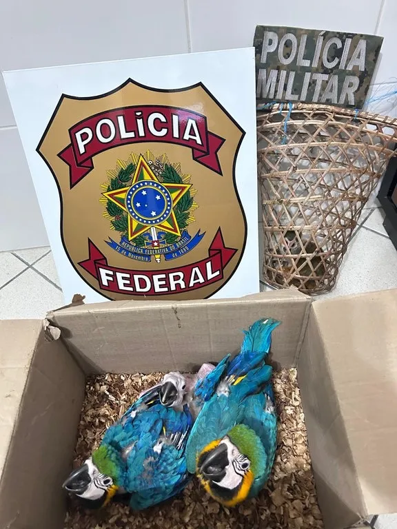 Polícia Federal e COPPA/PM/BA apreendem animais silvestres em Feira de Santana