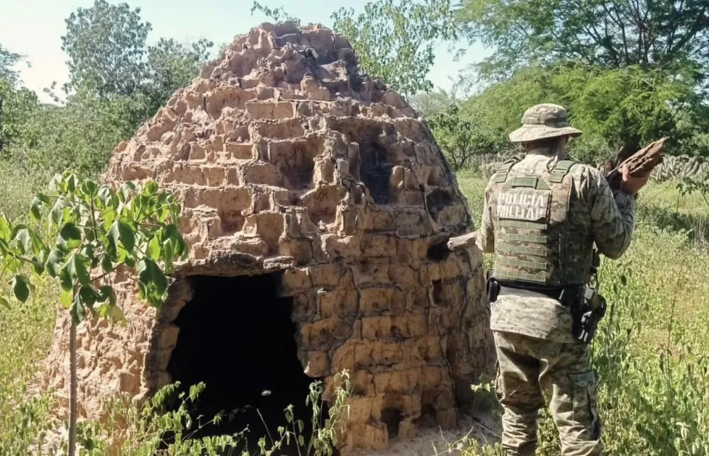 Polícia Militar da Bahia destrói fornos clandestinos de carvão em Ibipitanga