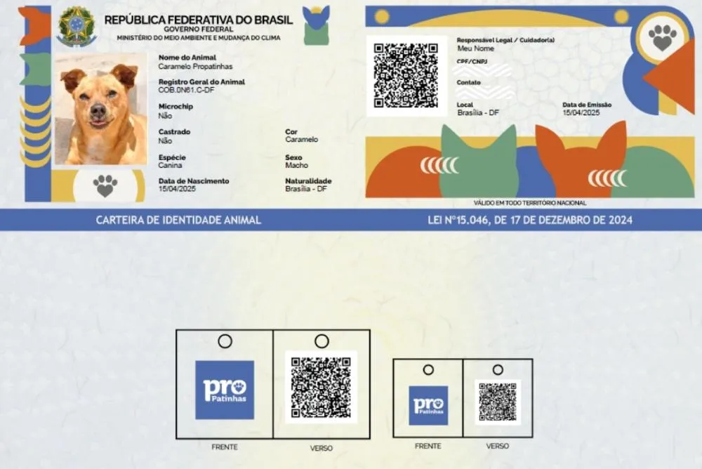 RG para cães e gatos: tire dúvidas sobre a nova ação do Governo Federal