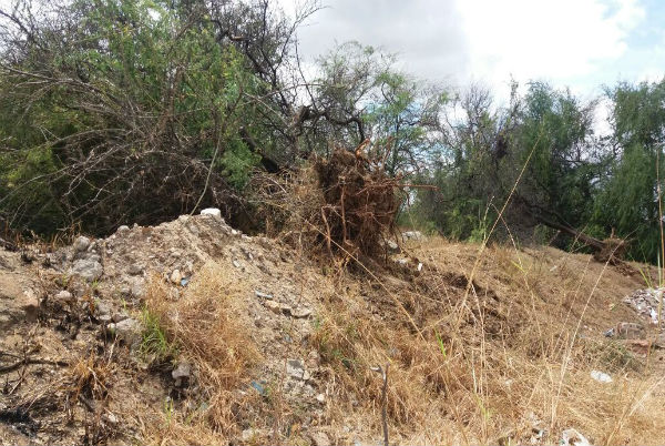 Brumado: moradores da Vila Presidente Vargas denunciam desmatamento na localidade 