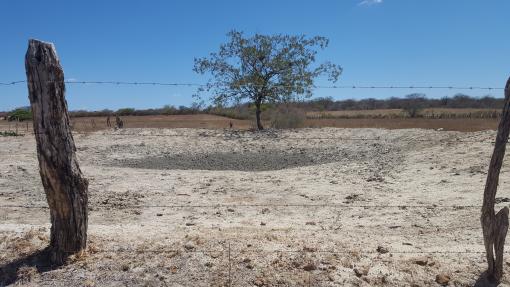 Seca avança no Nordeste e assume contornos severos, mostra estudo 