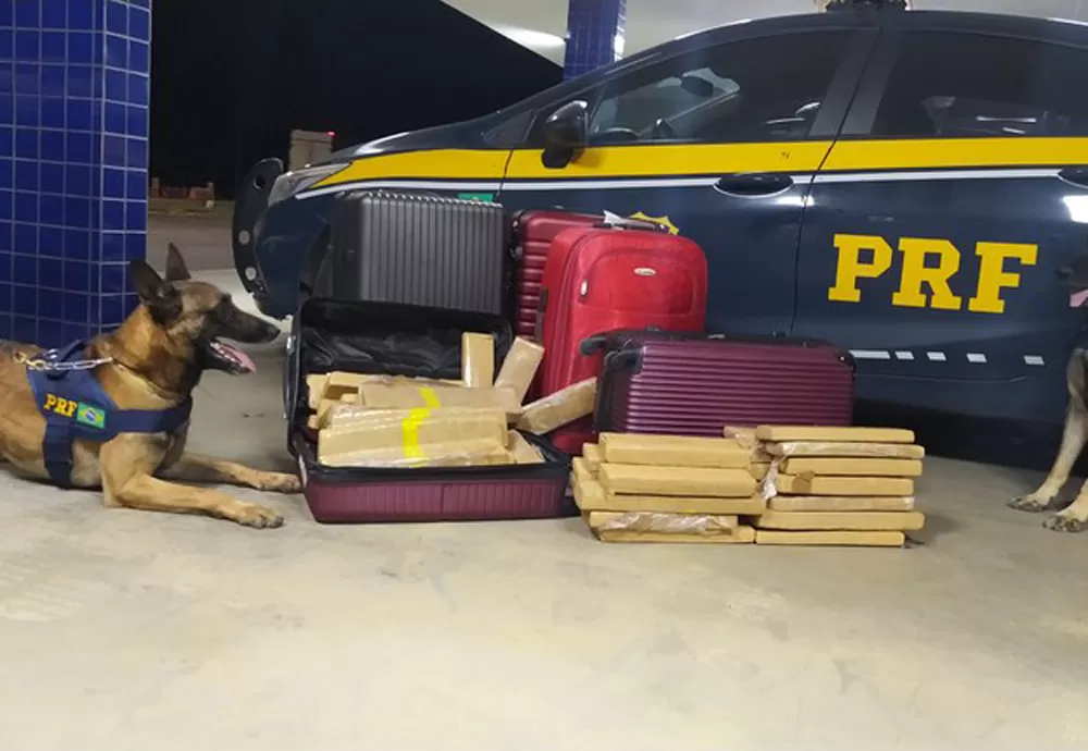 Em ocorrência inusitada, PRF apreende mais de 120 Kg de maconha e prende quatro pessoas, três por tráfico e uma por ter furtado os pertences de um dos traficantes