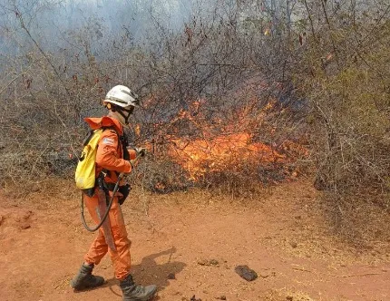 Bombeiros extinguem incêndios florestais em quatro municípios baianos