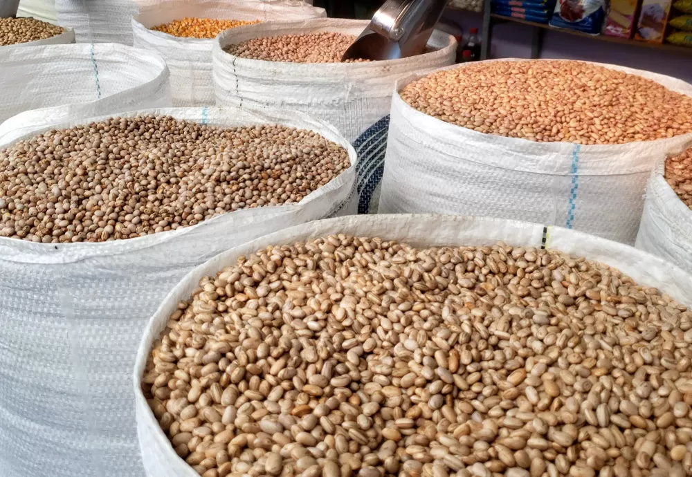 Conab estima produção de grãos em 315,8 milhões de toneladas