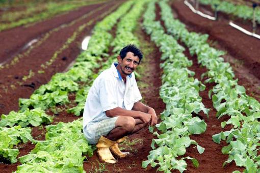 Iniciativa de apoio à agricultura familiar tem adesão de 388 municípios baianos 