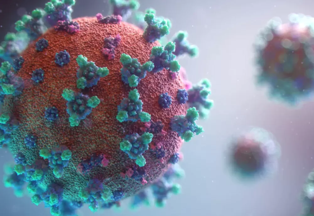 Câmara dos Deputados aprova projeto que cria o Dia Nacional em Memória das Vítimas de Covid-19