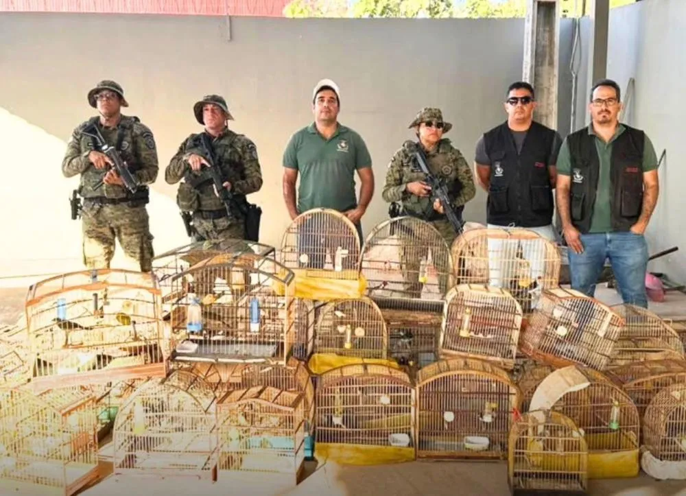 CIPPA/Lençóis resgata 54 aves silvestres mantidas ilegalmente em cativeiro em Luís Eduardo Magalhães