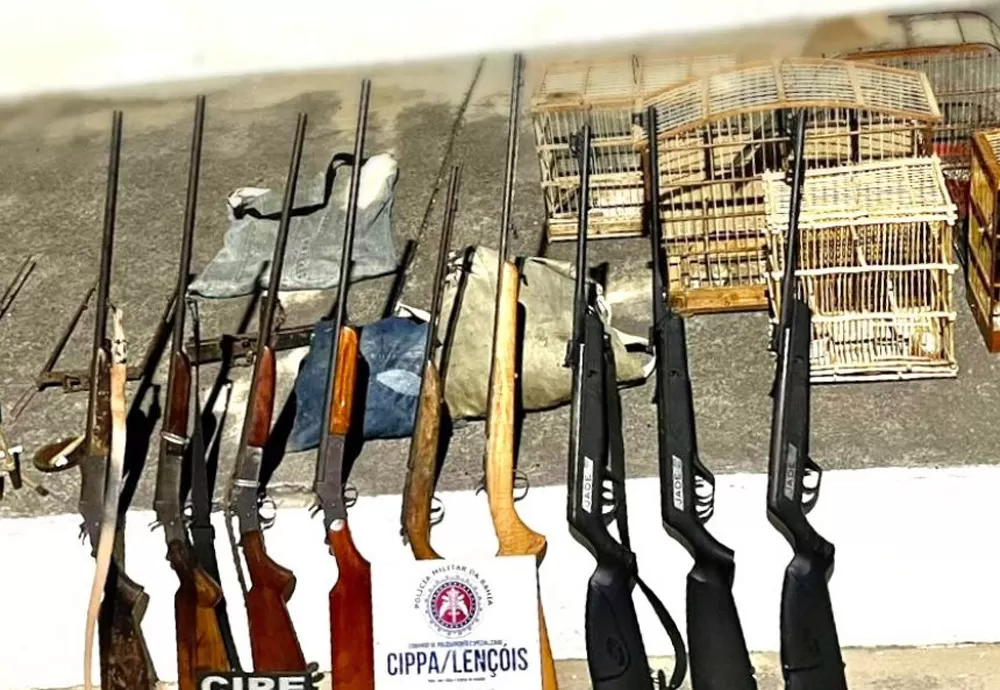 PM prende quadrilha de caçadores e resgata 13 aves silvestres