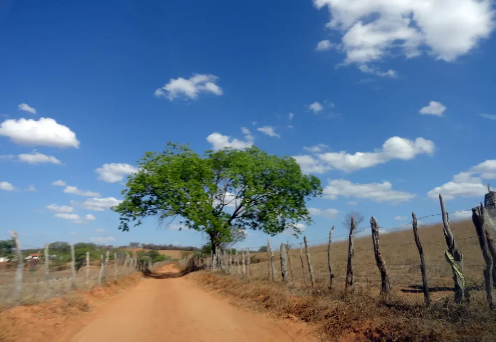 Aberto o prazo para entrega da Declaração do Imposto Territorial Rural