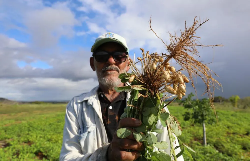 Chegada do São João aquece as vendas e fortalece quem vive da agricultura familiar
