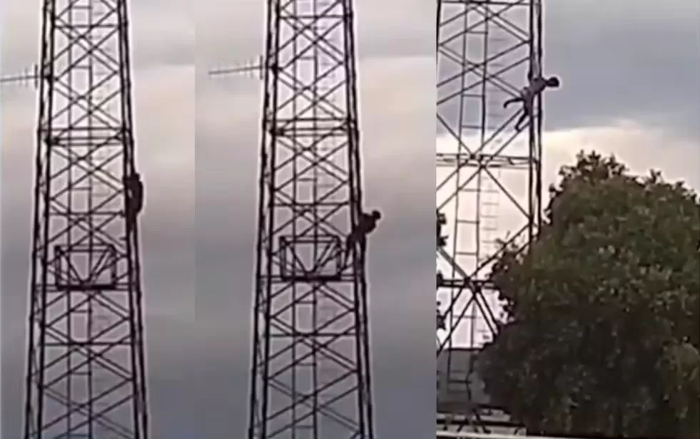 Homem cai de torre telefônica após ataque de abelhas no sudoeste da Bahia