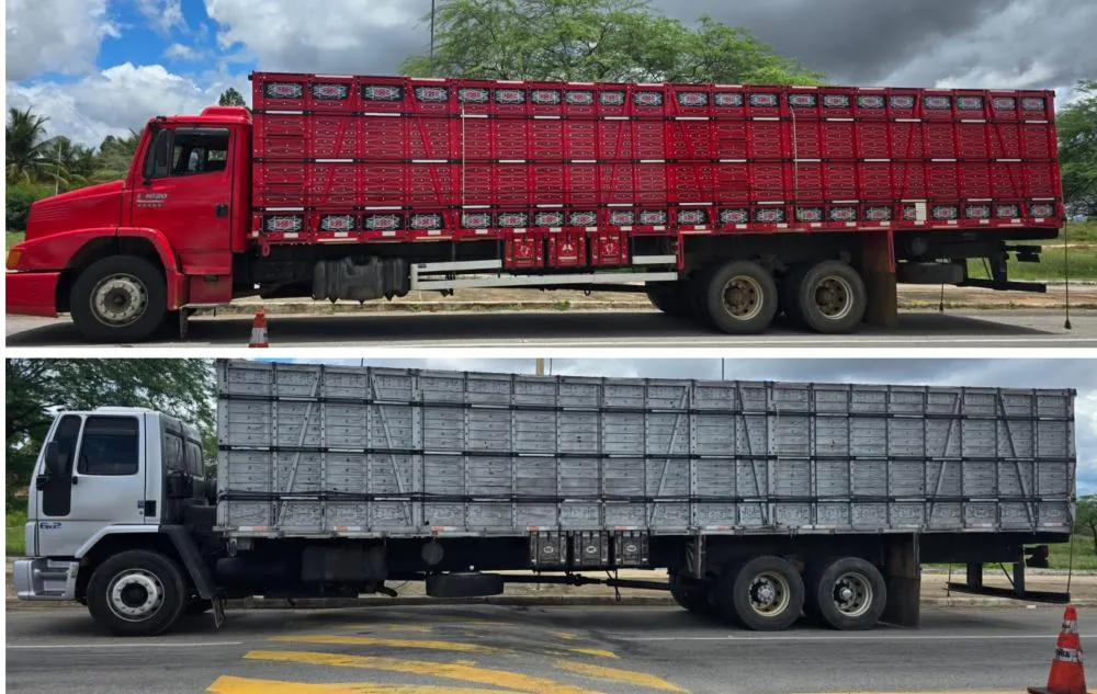 CIPRv/Brumado apreende dois veículos por transporte irregular de bovinos em Tanhaçu