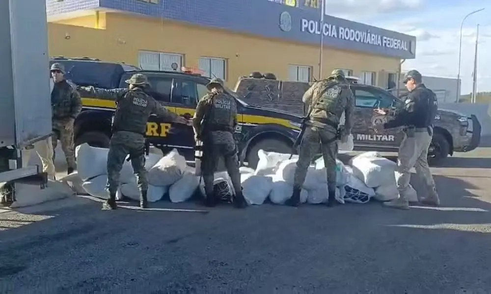 Forças Estaduais e Federais interceptam 781 kg de maconha na BR-235
