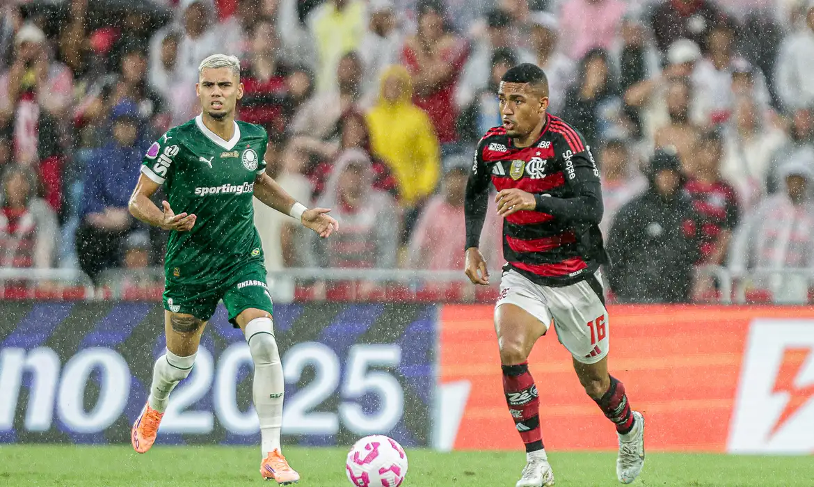 Palmeiras e Flamengo decidem 1º tetra brasileiro na Libertadores