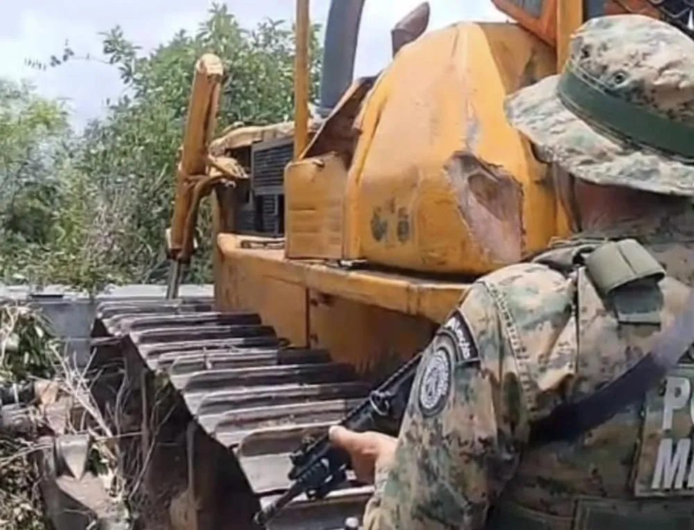 Operação conjunta identifica desmatamento ilegal de 600 hectares em Formosa do Rio Preto