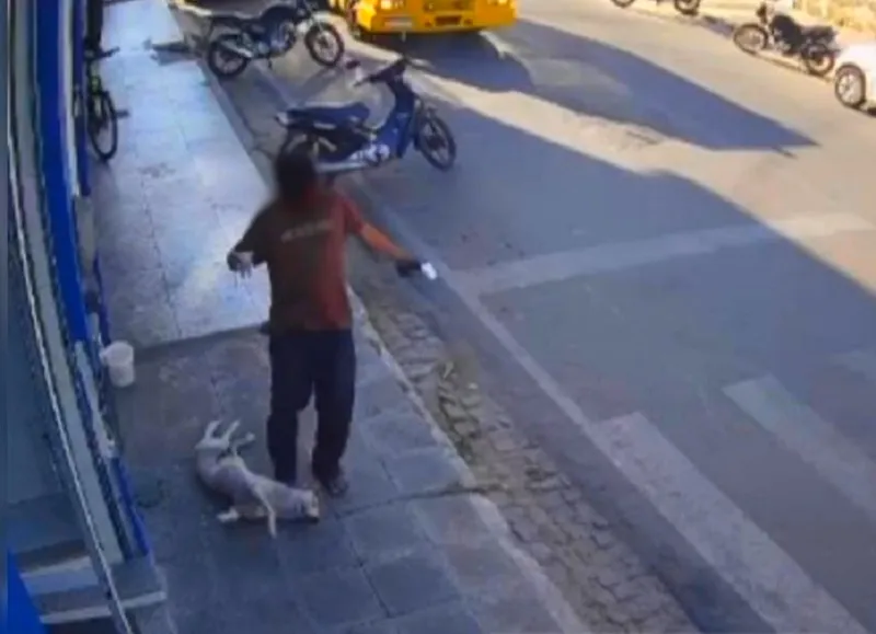 Homem é detido em Brumado após vídeo flagrar agressão a cachorro