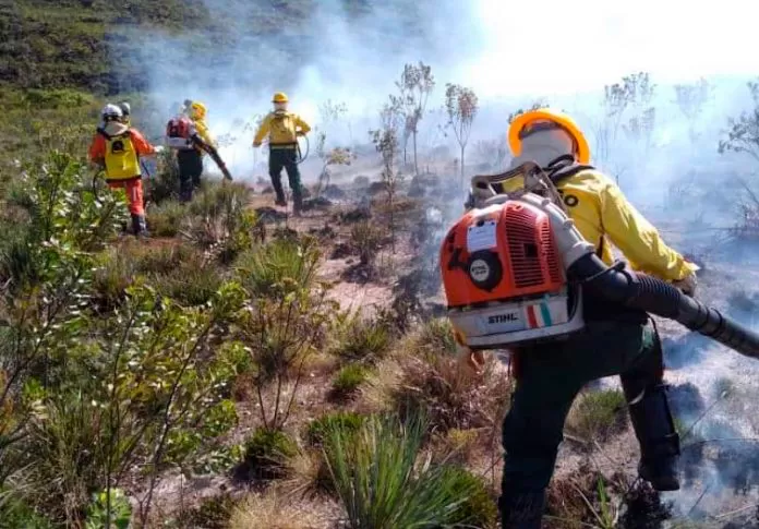 Combate aos incêndios florestais segue como uma das prioridades na Bahia