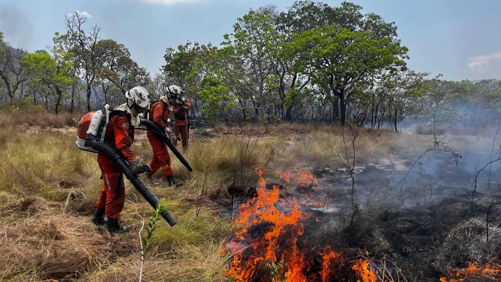 Bombeiros do CBMBA extinguem incêndios florestais em Juazeiro, Lençóis, Bom Jesus da Lapa e Guanambi