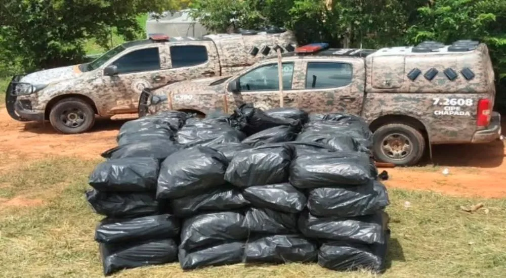 Operação integrada localiza mais 2 toneladas de maconha na zona rural de Brotas de Macaúbas
