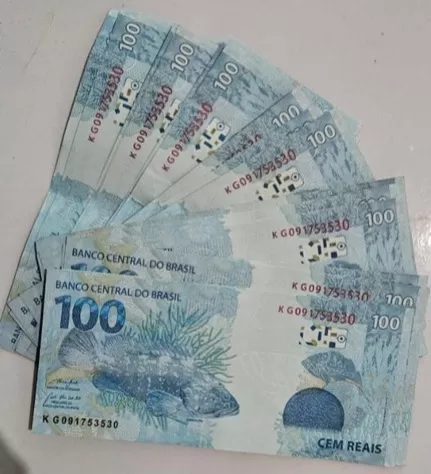 PF desarticula grupo criminoso que colocava em circulação cédulas falsas