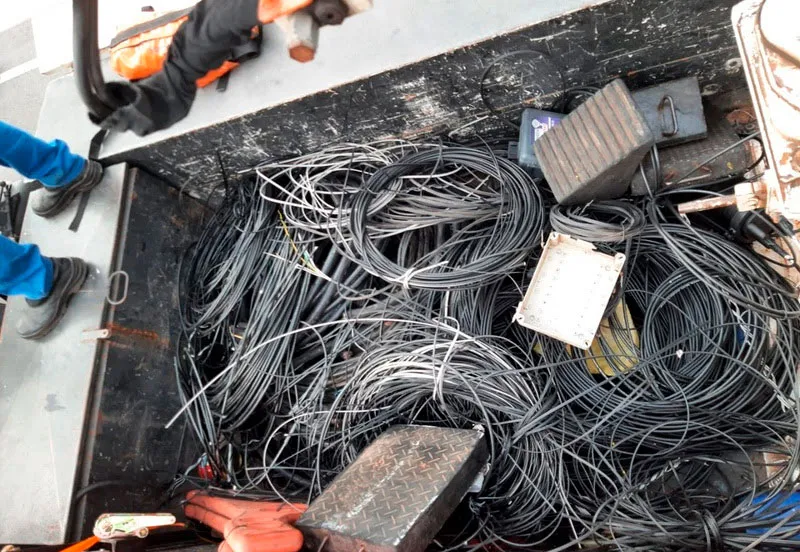 17 municípios baianos recebem a Operação Gatonet nesta semana